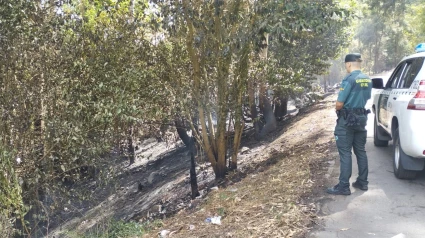 Un guardia civil ante el terreno quemado en Poio