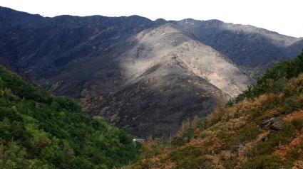 Incendios