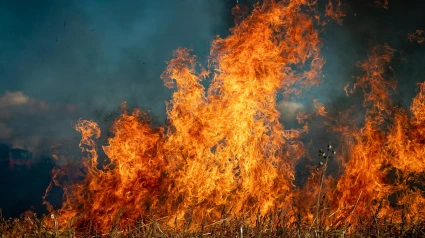 Campo ardiendo