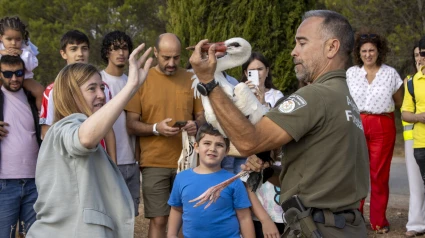 El Gobierno de La Rioja libera a 15 ejemplares de aves huérfanas recuperadas a través del programa de voluntariado ambiental ‘Ayúdale a volar’