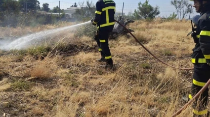 20/08/2025 Cádiz.- Bomberos de Cádiz desplazados a Ourense evitan que un incendio en San Vicente de Pepín llegue a las casas.El dispositivo de 17 efectivos y cinco vehículos del Consorcio de Bomberos de la Provincia de Cádiz que este martes salió de Jerez de la Frontera hacia Ourense ya se encuentra trabajando en la zona, apoyando las labores de extinción de los incendios que se registran en esta provincia gallega, llegando incluso a evitar que un fuego descontrolado en San Vicente de Pepín afectase a las viviendas.POLITICA CONSORCIO DE BOMBEROS DE LA PROVINCIA DE CÁDIZ