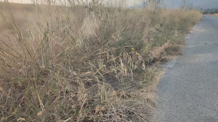 Imagen del estado de una de las carreteras de las pedanías de Lorca