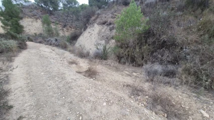 Imagen del deslizamiento de camino de acceso a El Algarrobo (Mazarrón)