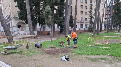 Plantación de árboles en Huesca