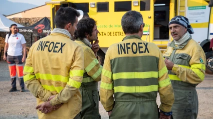 Agentes del Infoex