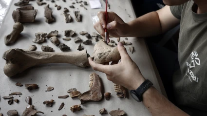 GRAFCAV9594. ILUNDAIN, 19/06/2023.- Un arqueólogo de la Sociedad de Ciencias Aranzadi marca alguno de los restos encontrados en las excavaciones del yacimiento de Irulegui, donde se encontró una mano de bronce con la inscripción más antigua en lengua vascónica. El arqueólogo Mattin Aiestaran, director de las excavaciones ha presentado este lunes la nueva campaña de excavación que se esta llevando a cabo en la zona donde hicieron el descubrimiento. EFE/ Jesús Diges