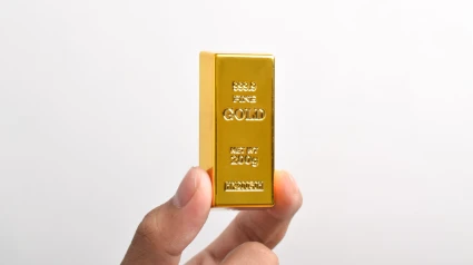 Lingote de oro, archivo