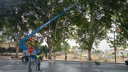Imagen de la actuación y obras en la rotonda