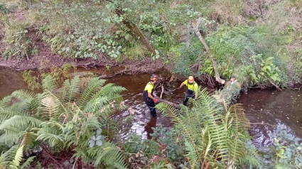 Dos operarios en el río Belelle, en A Capela