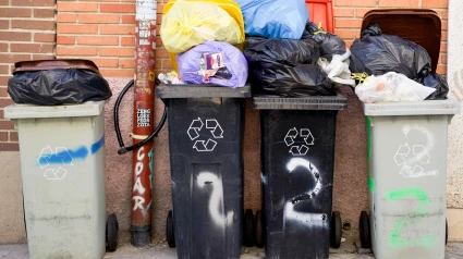 Montones de basura en la acera de Madrid