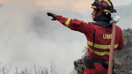 Efectivos de la UME realiza trabajos de liquidación de reproducción en la zona de Galende, en el incendio forestal de Porto (Zamora)