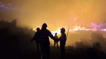 Imagen de los bomberos aragoneses desplazados a Castilla y León.
