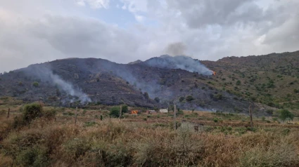 Incendio forestal en Alhama de Granada