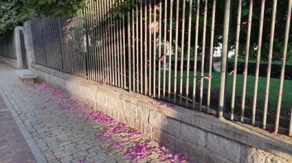 Lazos de la violencia de género en San Roque