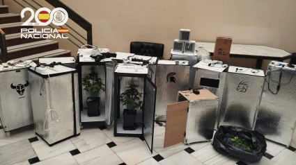Los agentes han localizado 16 plantas cultivadas en armarios construidos de manera artesanal