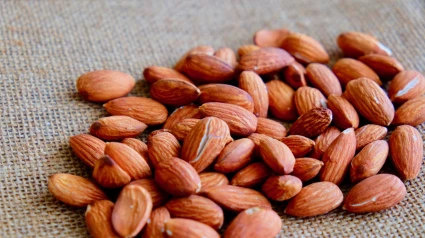 Cosecha un poco más corta, pero la calidad es "exquisita": Así llega la campaña de la almendra en La Rioja