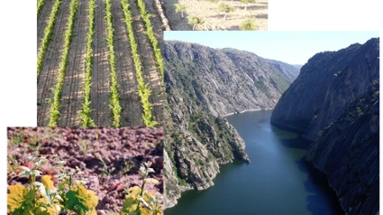 Arribes del Duero