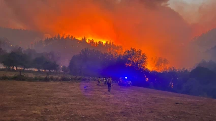 Incendio forestal en Quiroga, iniciado el lunes en A Pobra do Brollón