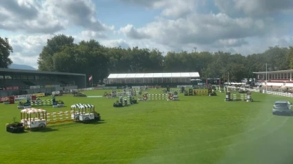 Complejo deportivo de Las Mestas, Gijón