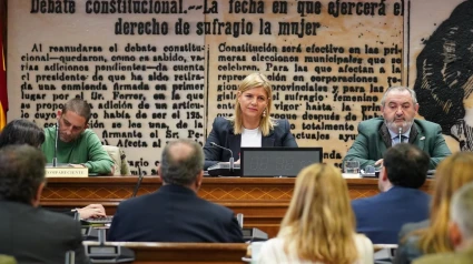 Inmaculada Hernández, senadora del PP