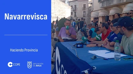 NAVARREVISCA