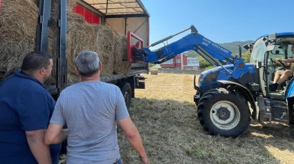 Algúns dos rolos entregados en Monterrei e A Mezquita foron entregados por unha explotación de Foz