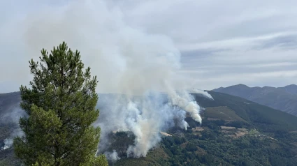 Una imagen del incendio de Ibias, el que más preocupa en la actualidad