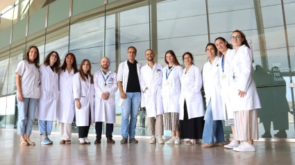 Grupo de investigación