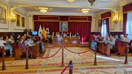 Votación durante el pleno de este jueves de agosto