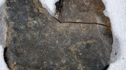Pizarra encontrada en el Turuñuelo