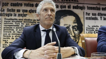 El ministro del Interior, Fernando Grande-Marlaska, comparece ante la Comisión de Interior de la Cámara Alta, a petición del PP, este jueves en el Senado. EFE/ Chema Moya