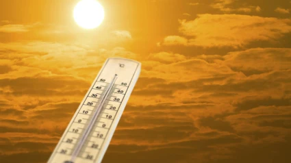 Agosto mortal: más de 200 muertes en Alicante y la cifra sigue subiendo