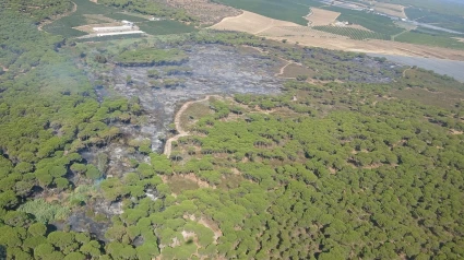 Incendio en Gibraleón