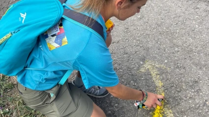 Imagen del voluntariado