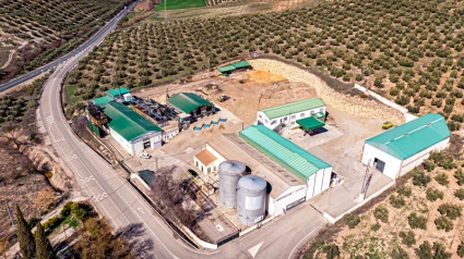 La Cooperativa San Antonio Motaoliva se une a Interóleo