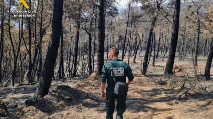 La Guardia Civil detiene e investiga a 10 personas por incendios forestales en la provincia de Cáceres