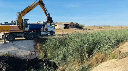 Tareas de limpieza de la Rambla de Biznaga que está acometiendo el Ayuntamiento de Lorca