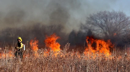 Incendio