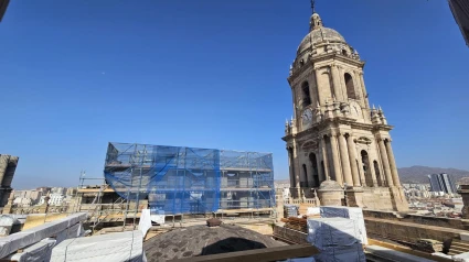 Las obras de la Catedral de Málaga avanzan a buen ritmo. Sin embargo, además de los retos técnicos, el monumento se enfrenta a un enemigo silencioso: las palomas, cuyos excrementos ácidos dañan la piedra de la catedral