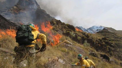 Bomberos del INFOCA