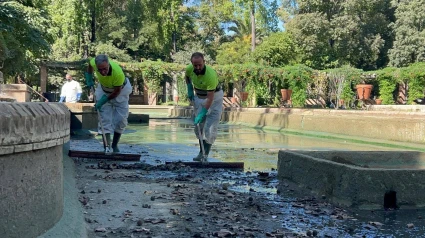 El Ayuntamiento de Sevilla cierra de forma preventiva los jardines del Alcázar tras aparecer aves muertas