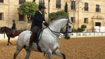 Espectáculo en Caballerizas Reales