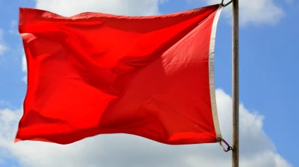 Bandera Roja en una Playa