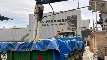 El Progreso en vendimia