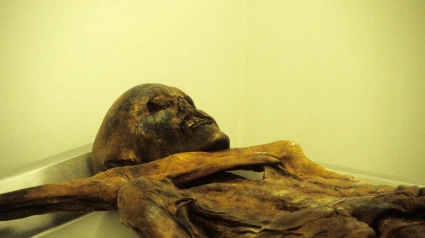 B2Y9P3 italy, trentino alto adige, bolzano, alto adige archeological museum, otzi the iceman