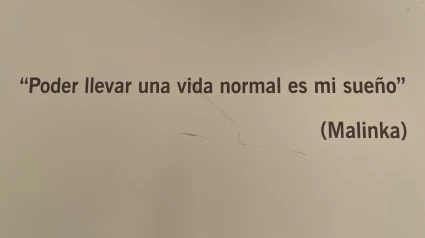 Exposición de Cáritas de Santiago sobre el programa Vagalume