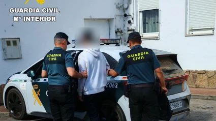 Detenido un joven en Camponaraya (León) por un delito continuado de daños