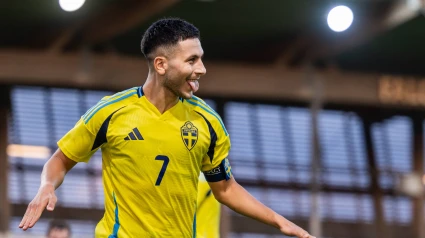 Roony Bardghji celebra su gol de penalti ante Armenia.