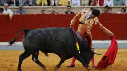 Natural de Cristiano Torres ante el quinto novillo de Ana Romero