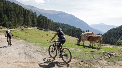 Puro Pirineo